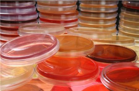 培養(yǎng)皿難洗總洗不干凈易碎，杜伯特輕松解決